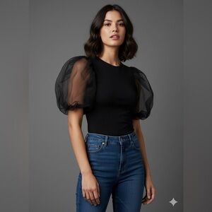 H&M Organza Puff Sleeve top